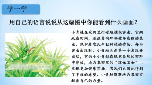 3 小青蛙   课件