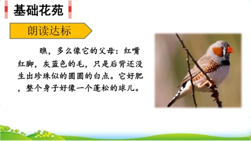 10.单元整理课
