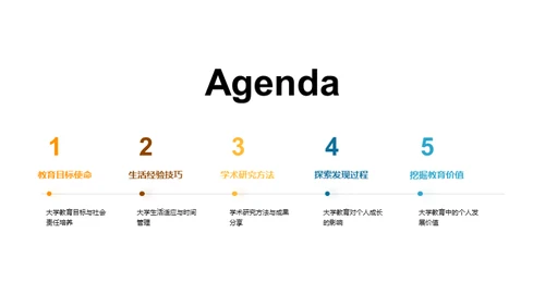 大学教育全景解析