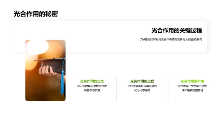 探索植物的奥秘