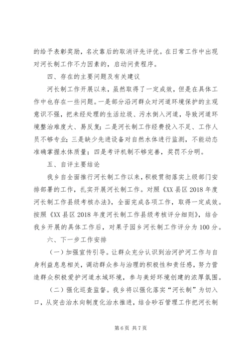 乡镇某年度河长制自评工作总结.docx