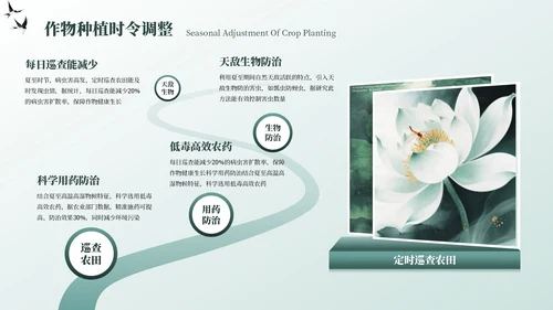 墨绿色中国风夏至节气PPT模板