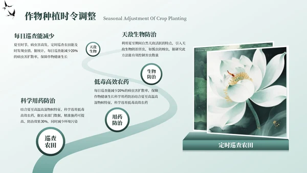 墨绿色中国风夏至节气PPT模板