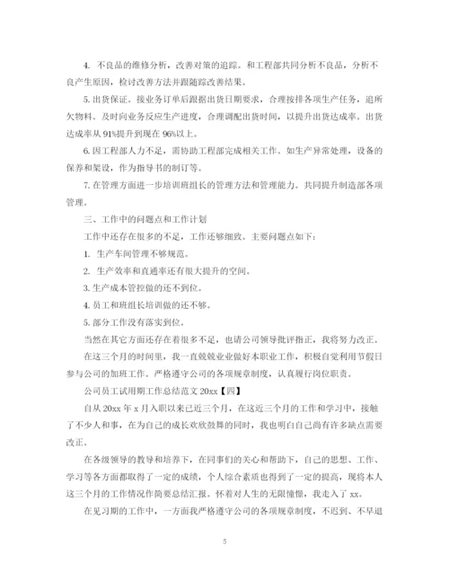 精编之公司员工试用期工作总结范文2.docx