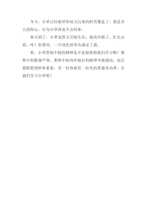 坚强的小草作文250字.docx
