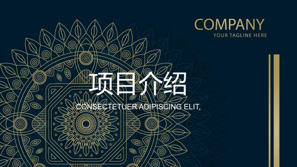 霸气高端大气创业融资计划书动态PPT模板
