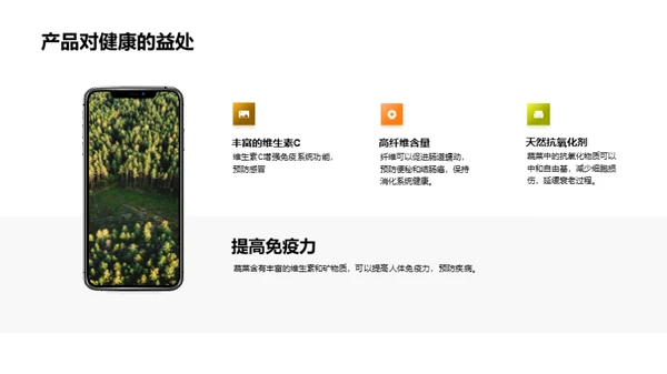 蔬菜销售策略探讨
