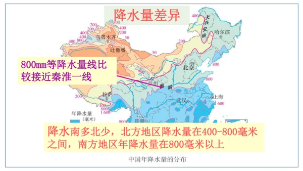 地域差异显著