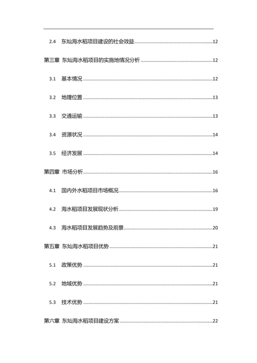 东灿海上水稻项目商业计划书.docx