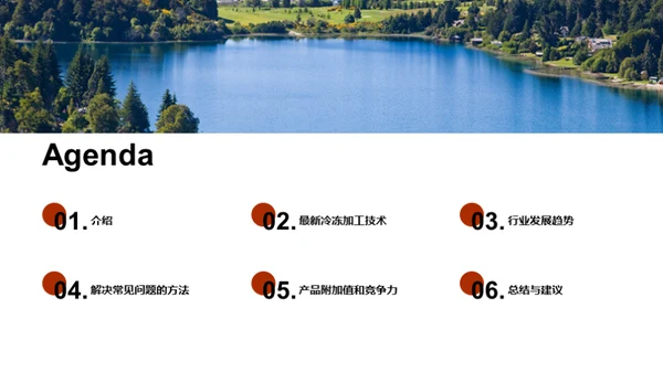 冷冻技术的未来之路