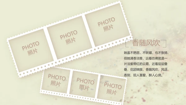 致青春剪影毕业季大学毕业纪念册相册动态PPT
