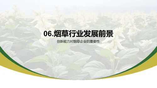 烟草业：新纪元新挑战