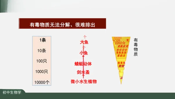 1.2.2 生物与环境组成生态系统 课件（共25张PPT）