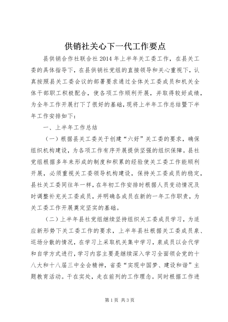 供销社关心下一代工作要点.docx