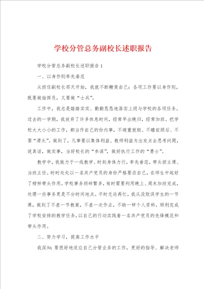 学校分管总务副校长述职报告