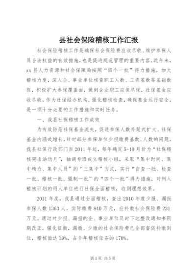 县社会保险稽核工作汇报.docx