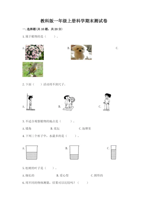 教科版一年级上册科学期末测试卷及答案【夺冠】.docx