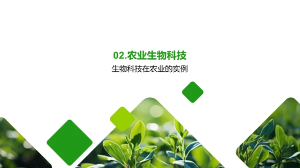 农业生物科技探究