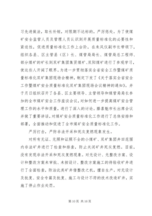 市煤管局上半年工作总结暨下半年工作安排.docx