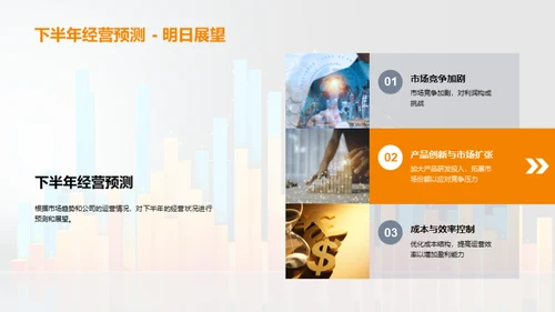 财务半年度分析