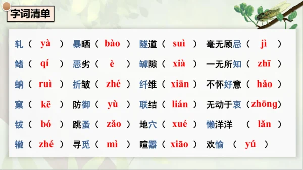 21《蝉》课件