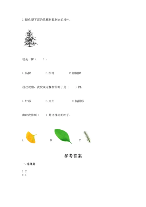 教科版科学一年级上册期末测试卷a4版打印.docx
