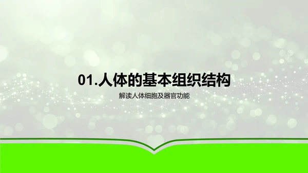 高二生物免疫系统讲解