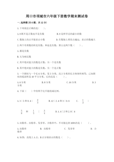 周口市项城市六年级下册数学期末测试卷完整.docx