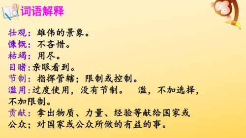 19 只有一个地球 课件