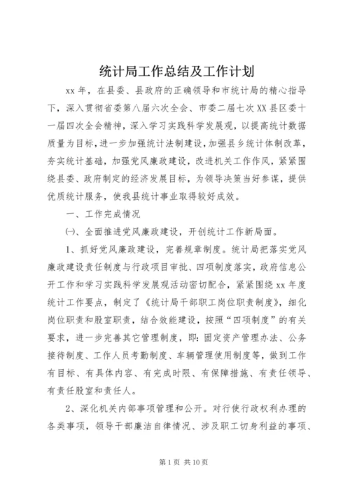 统计局工作总结及工作计划.docx