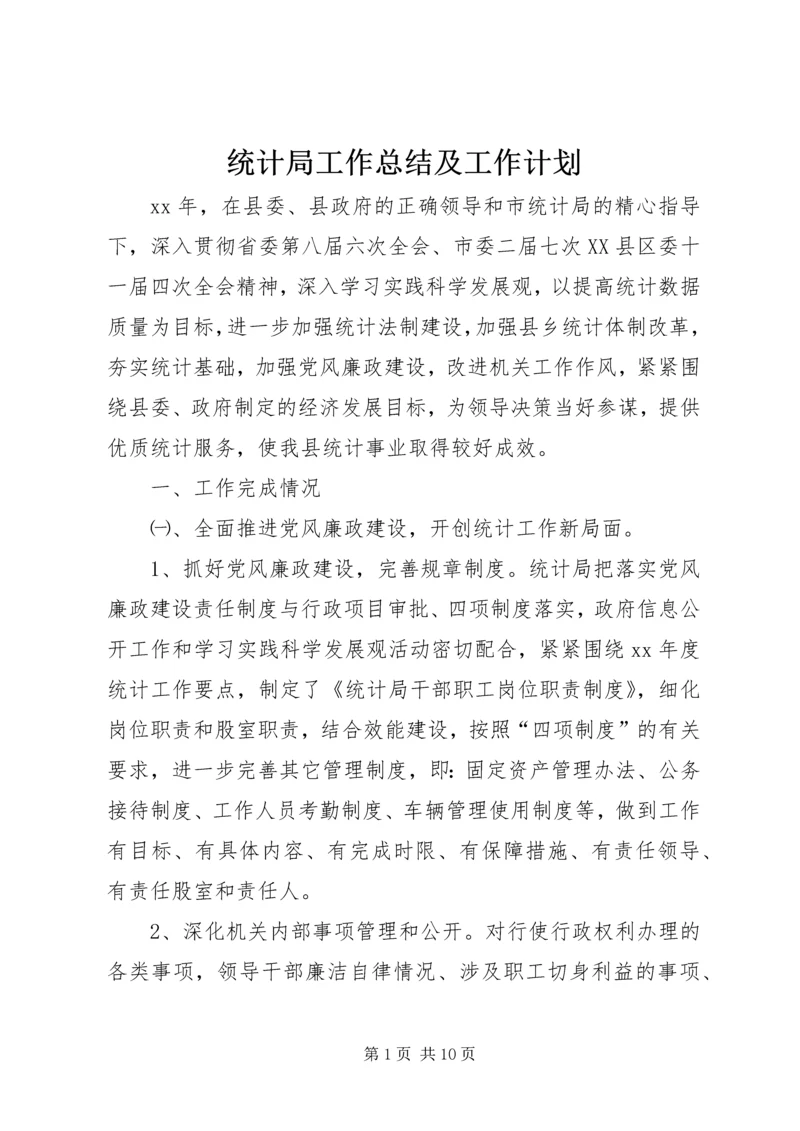 统计局工作总结及工作计划.docx