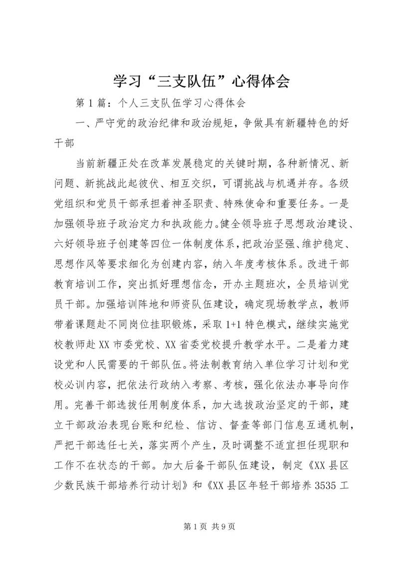 学习“三支队伍”心得体会 (2).docx