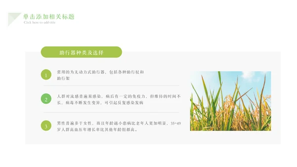 绿色农业生产春耕三农乡村振兴稻田水稻PPT