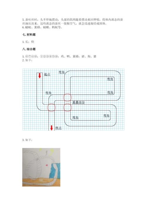 教科版科学三年级下册期末测试卷word.docx