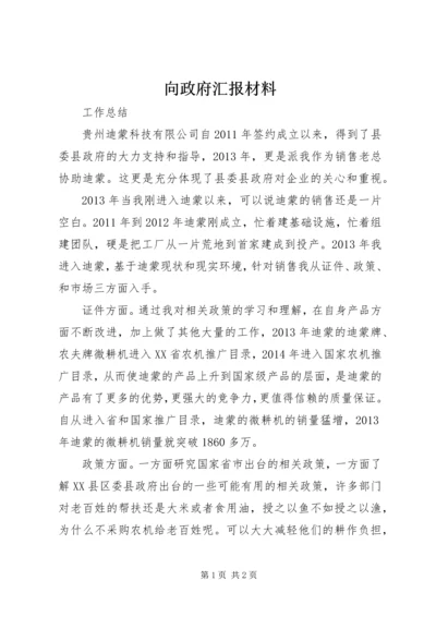 向政府汇报材料 (2).docx