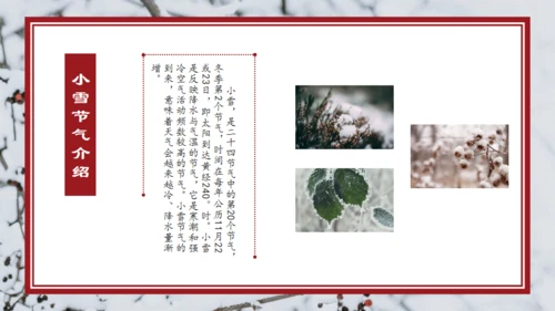 小雪寒冬通用PPT模板