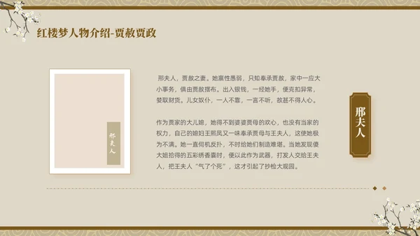褐色复古中国风中国四大名著之红楼梦人物介绍PPT
