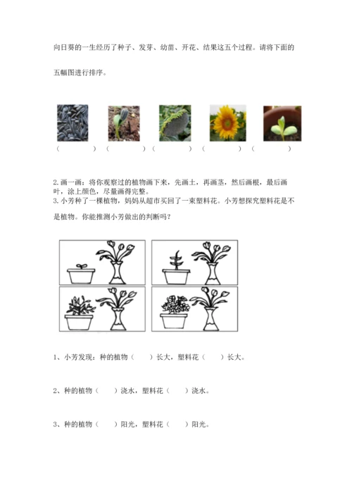 教科版科学一年级上册第一单元《植物》测试卷含答案【基础题】.docx