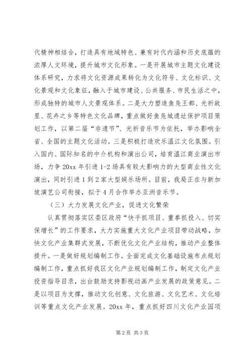 文化服务建设工作计划.docx