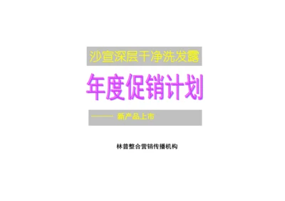 沙宣深层洁净洗发露专题策划专题方案.docx