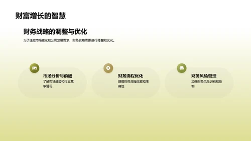 财务解析：20XX年度总结
