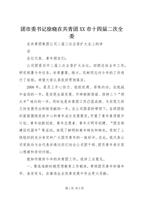 团市委书记徐晓在共青团XX市十四届二次全委 (4).docx