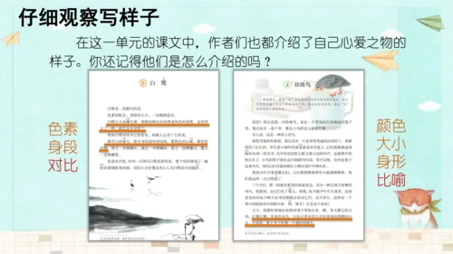 统编版语文五年级上册第一单元习作：我的心爱之物 课件