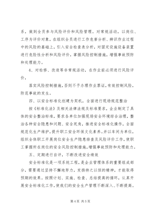 安全标准化验收汇报材料(5).docx