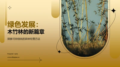 绿色发展：木竹林的新篇章