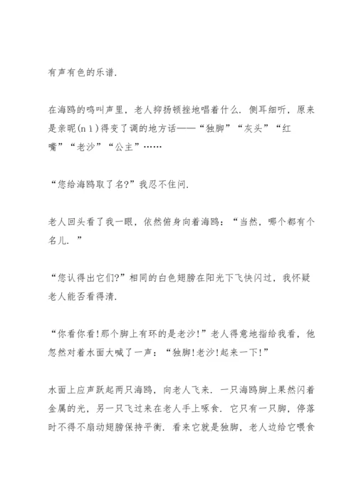 语文A版四年级语文下册《老人和海鸥》教案.docx