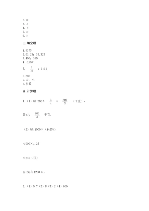 北师大版六年级下册数学期末测试卷精品【模拟题】.docx