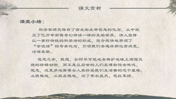 人教版《化石吟》中学语文课教学通用PPT课件模板