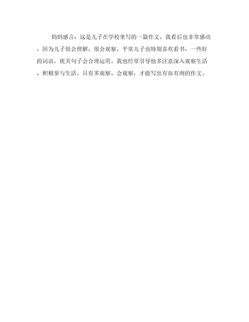 小学作文爸爸的爱450字
