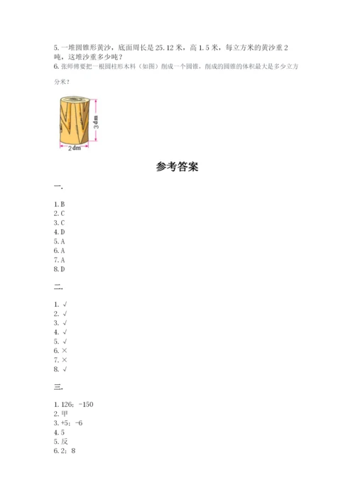 苏教版小升初数学模拟试卷精品（突破训练）.docx